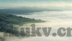4438成人网在线视频在线视频-成人世界的一扇窗，4438成人网在线视频的多元视角