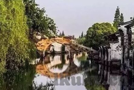 91麻豆精品在线播放-辣么鲜活，91麻豆精品在线视野的一瞥
