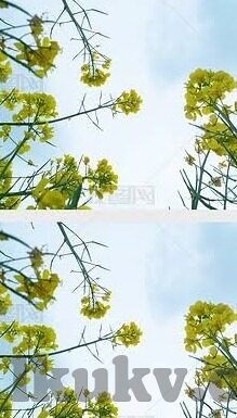 av麻豆在线播放-探索影像与艺术，成人内容平台的正确理解和社会影响
