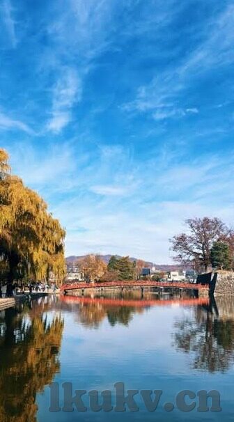 大象传媒广告入口-探索大象传媒广告入口，解锁品牌传播新维度