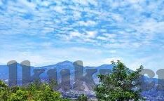 麻豆短视频app官方2021-提升娱乐新体验，麻豆短视频app官方2021