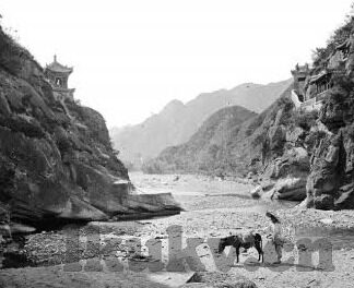 麻豆腐传媒-再造魔幻，麻豆腐传媒的奇幻之旅