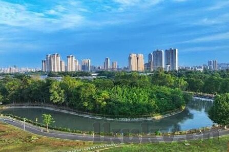糖心视频app安卓下载-科学的边界，理解应用安全与风险防范