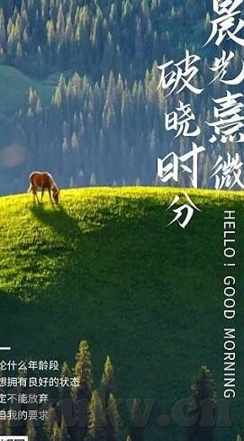 无需播放器的成人免费视频-成人内容与隐私保护，在数字时代寻找平衡