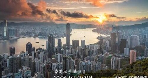夜里必用app糖心-守护夜色，夜里的必备伴侣——糖心APP