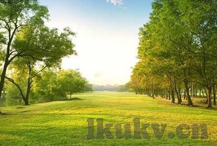 在线观看日韩av影院-探索日韩影视文化的独特魅力，在线观影的多元视角